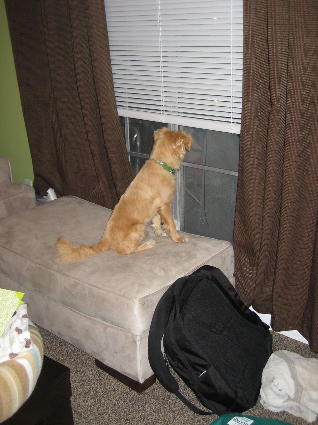 DIY dog window bench