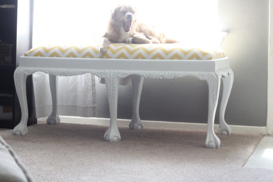 upcycled bench for dogs