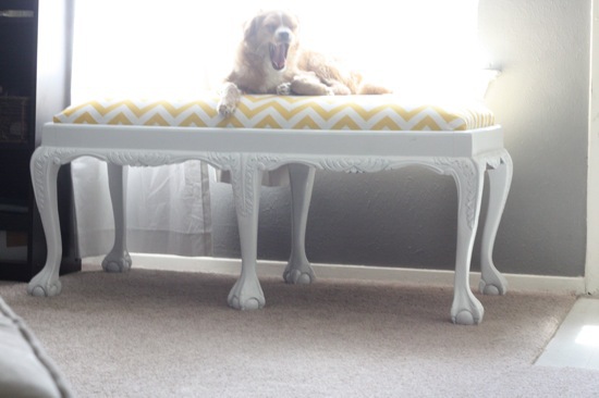 IMG_4784 upcycled bench for dogs