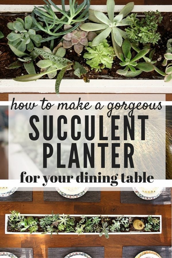 DIY succulent centerpiece