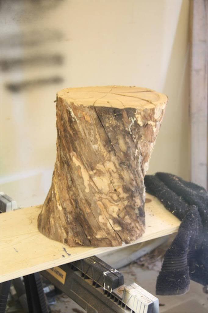 Making a DIY tree stump side table