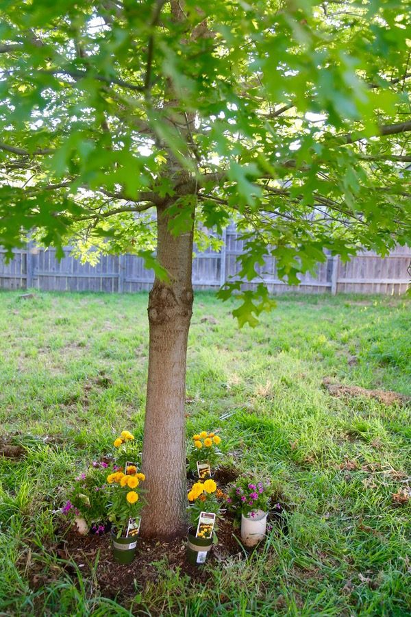 Do you want to WANT to spend more time in your backyard? Try making it a little prettier with some flowers! This post will show you how to brighten up your backyard with some color and fun by building a DIY border garden around a tree! It's quick, affordable, and it makes a big impact!