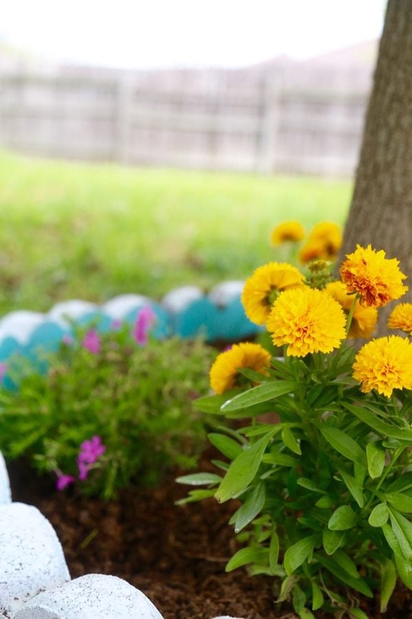 Do you want to WANT to spend more time in your backyard? Try making it a little prettier with some flowers! This post will show you how to brighten up your backyard with some color and fun by building a DIY border garden around a tree! It's quick, affordable, and it makes a big impact!