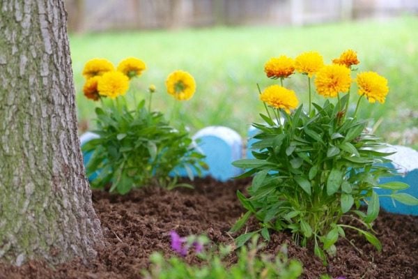 Do you want to WANT to spend more time in your backyard? Try making it a little prettier with some flowers! This post will show you how to brighten up your backyard with some color and fun by building a DIY border garden around a tree! It's quick, affordable, and it makes a big impact!