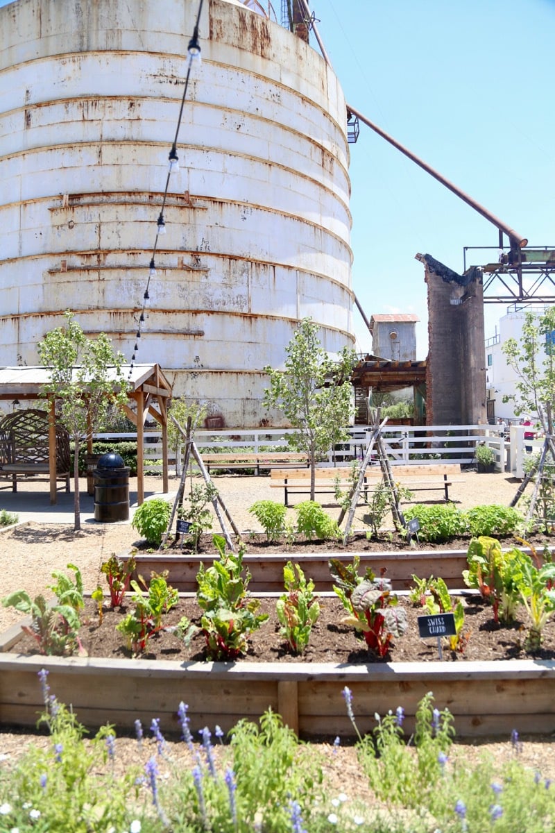 Visiting Magnolia Market in Waco