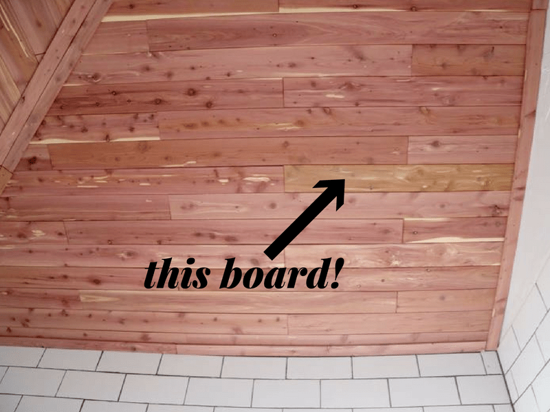 bathroom cedar ceiling