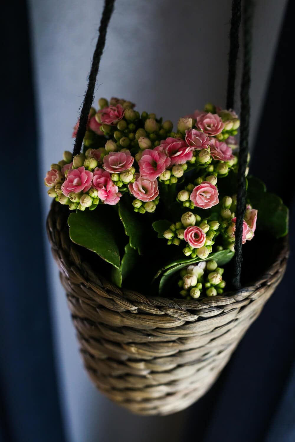 How to add simple hanging planters from IKEA to create this DIY indoor hanging planter display. It's a really simple idea, but makes a big statement in your room! 