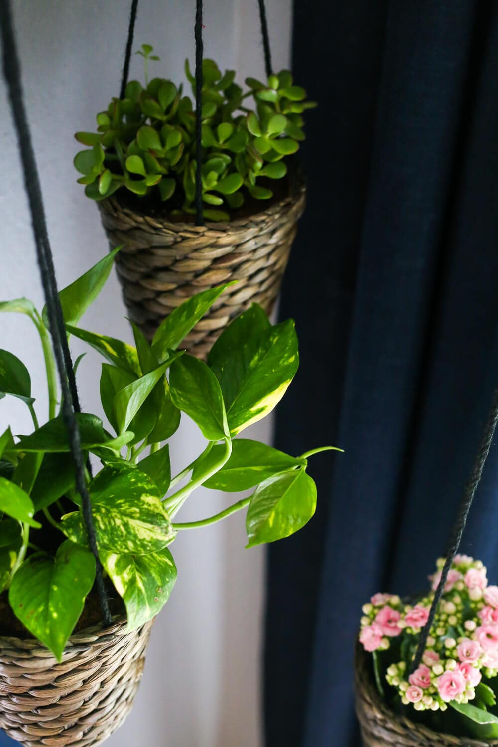 How to add simple hanging planters from IKEA to create this DIY indoor hanging planter display. It's a really simple idea, but makes a big statement in your room! 