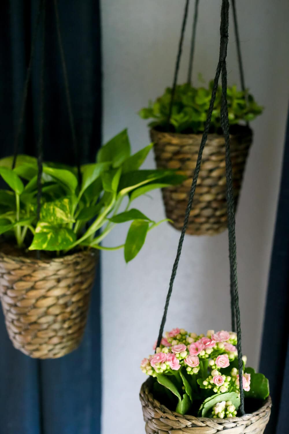 How to add simple hanging planters from IKEA to create this DIY indoor hanging planter display. It's a really simple idea, but makes a big statement in your room! 