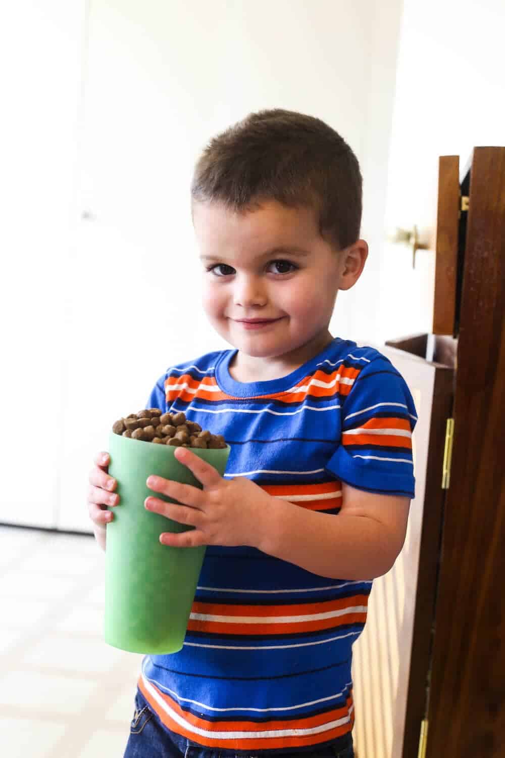 Tips, tricks, and ideas for getting your toddler or preschooler to help around the house. Ideas for chores that young children can do! 