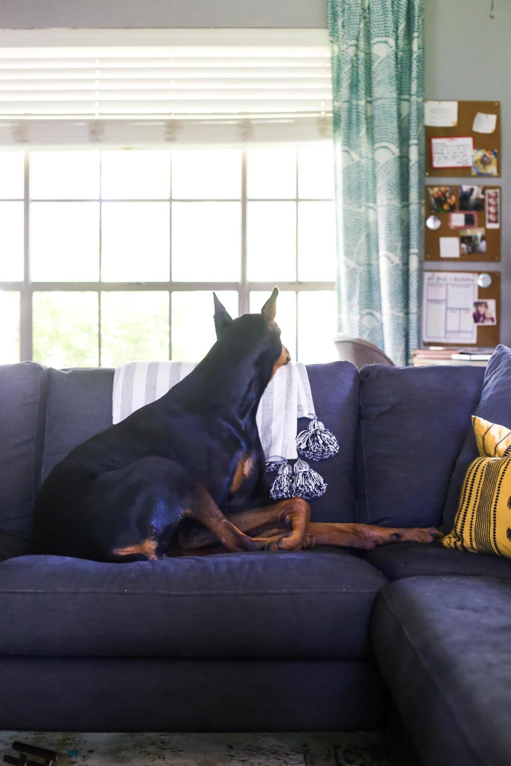 How to decorate your home when you have kids and pets - 6 great tips for kid-friendly and pet-friendly decor in your home, and how to create a home that's functional AND beautiful!