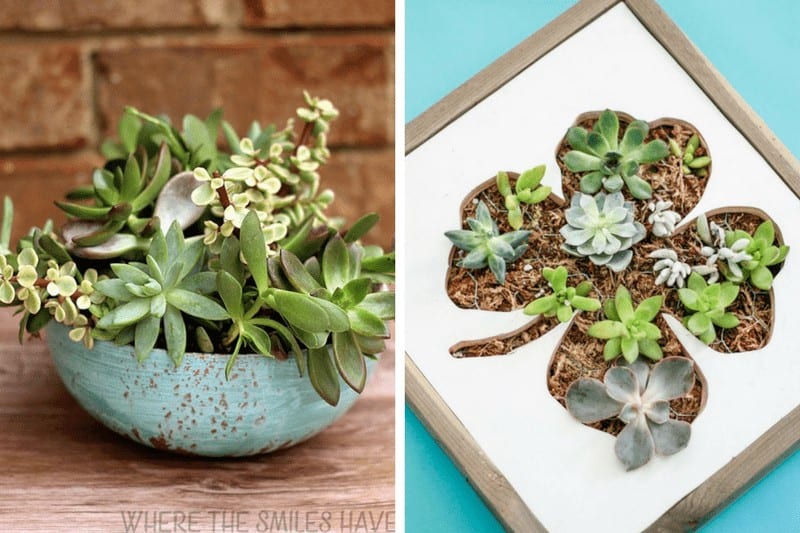 DIY gardening and planter ideas for your front or back yard. 