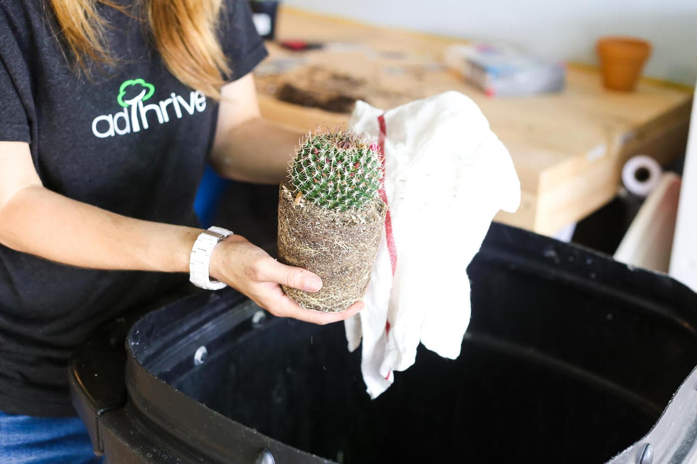 How to get a cactus out of a pot