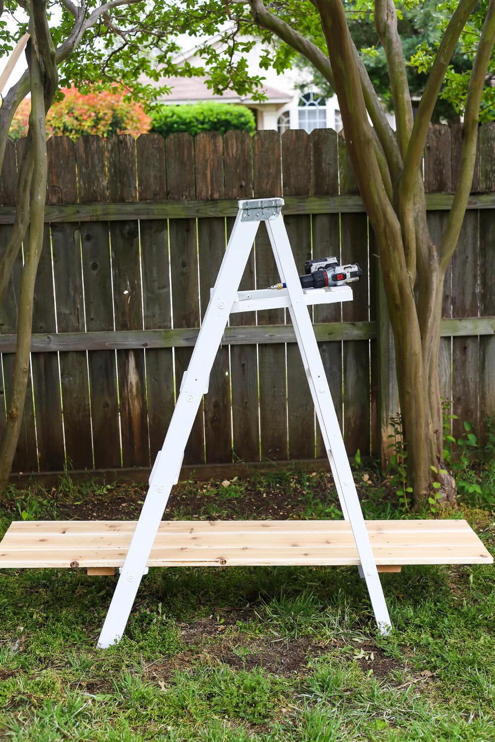 Turning a ladder into a succulent plant stand