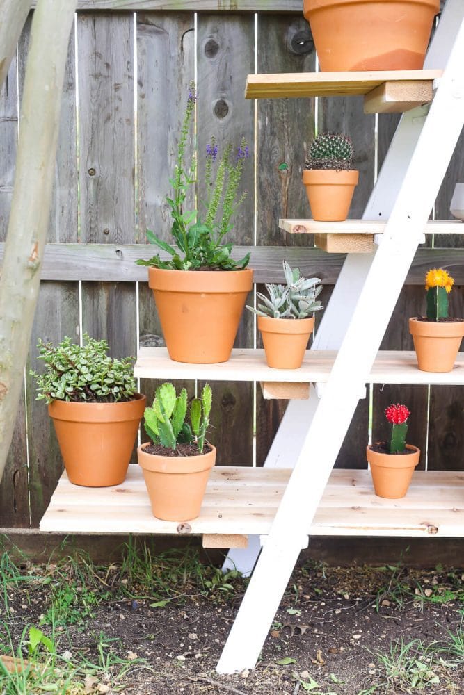 plant stand made from an old ladder