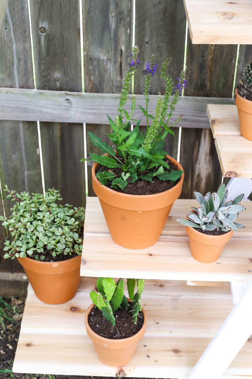 Turn a ladder into a plant stand