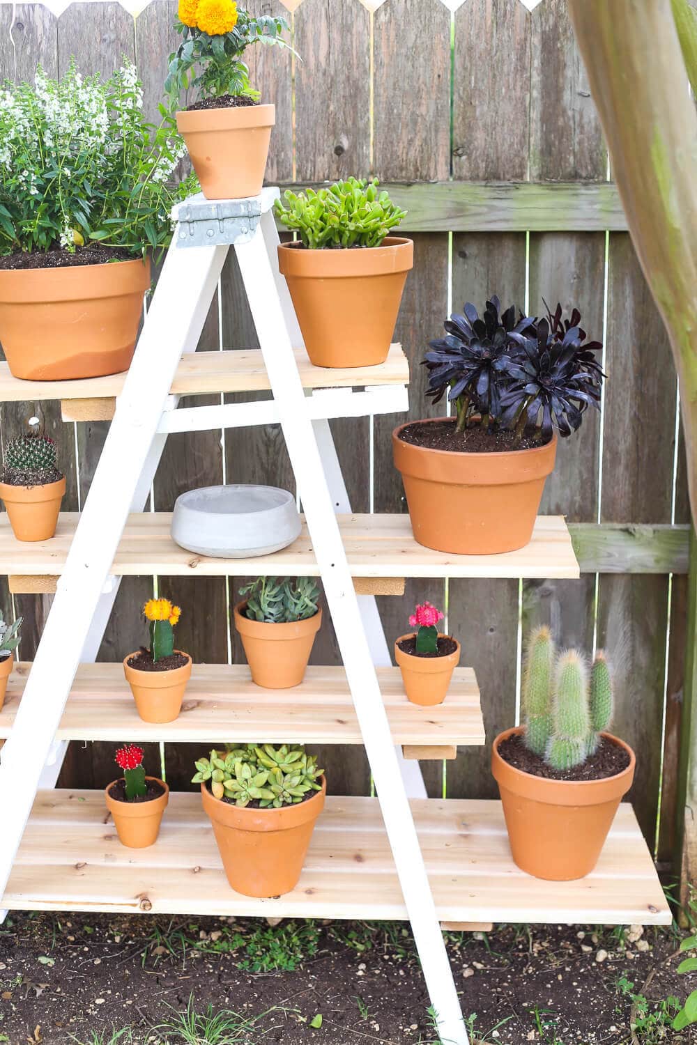 Diy Tiered Plant Stand From An Old Ladder - Love & Renovations