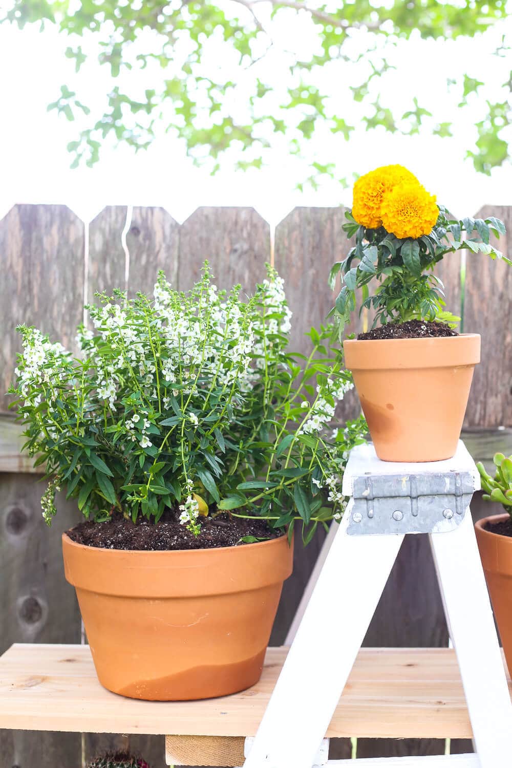 DIY tiered ladder garden