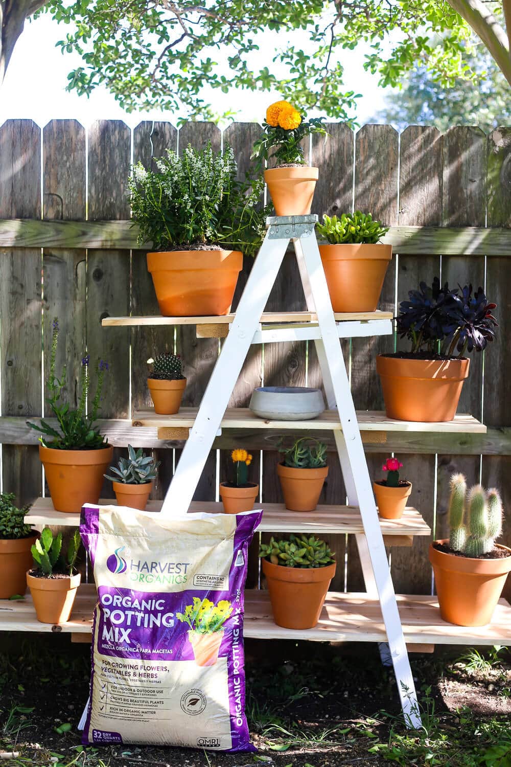 DIY tiered plant stand with Harvest Soil