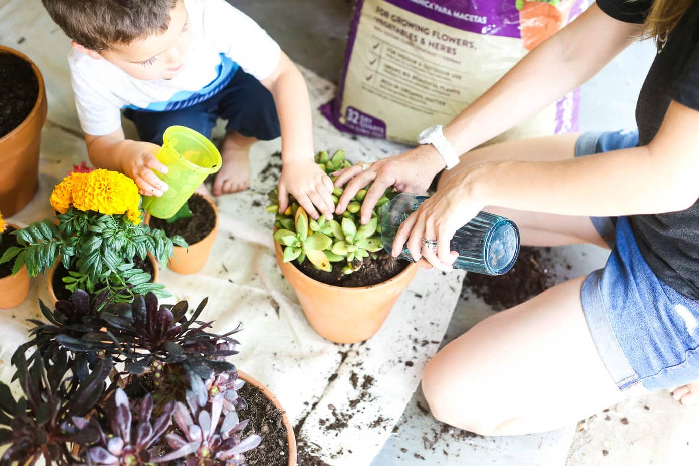 Planting with a toddler