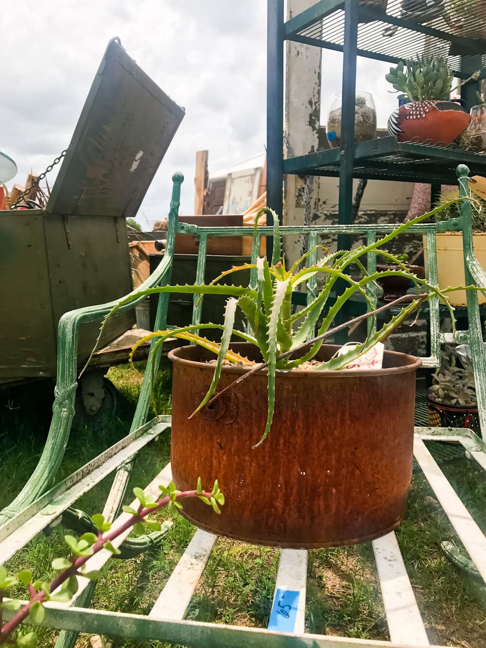 A trip to the spring 2017 Round Top Antique Show - details on all the awesome finds, beautiful antiques, and a new craze we stumbled on!