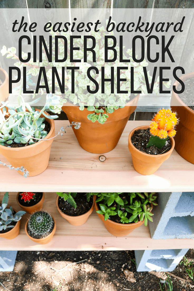 Close up of plants on a shelf with text overlay - "the easiest backyard cinder block plant shelves"