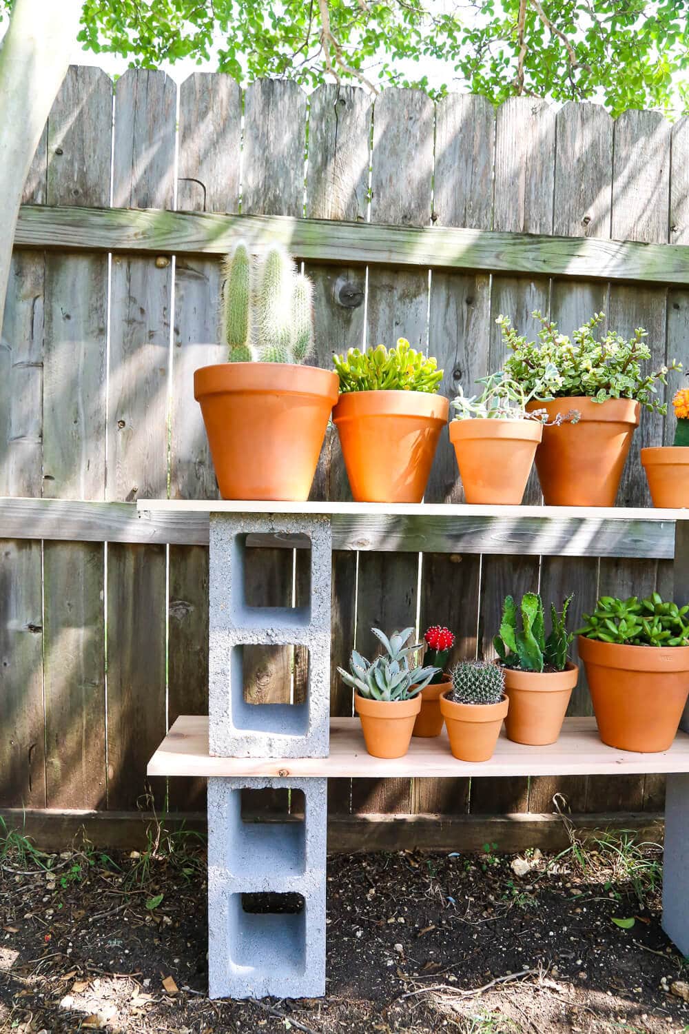 Cinder block shelves with plants