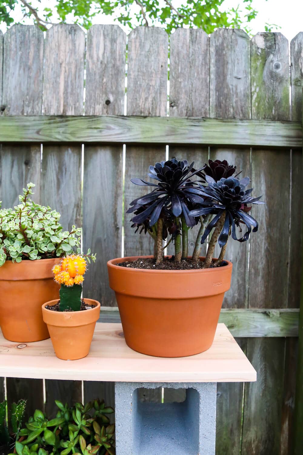 Easy Outdoor Plant Stand (Made With Cinder Blocks!)