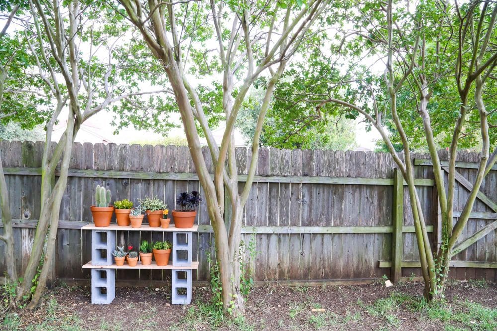 How to build simple cinderblock shelves to hold your plants. A really quick and simple plant stand idea - perfect for herb gardens, succulents, or whatever plants you need a space for!