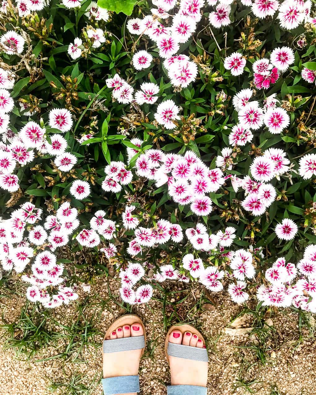 Heading to Waco to visit the Silos? Be sure you take a detour to visit Heritage Homestead - it's a gorgeous community with a similar feel to Magnolia but way fewer crowds! See all of the details here!