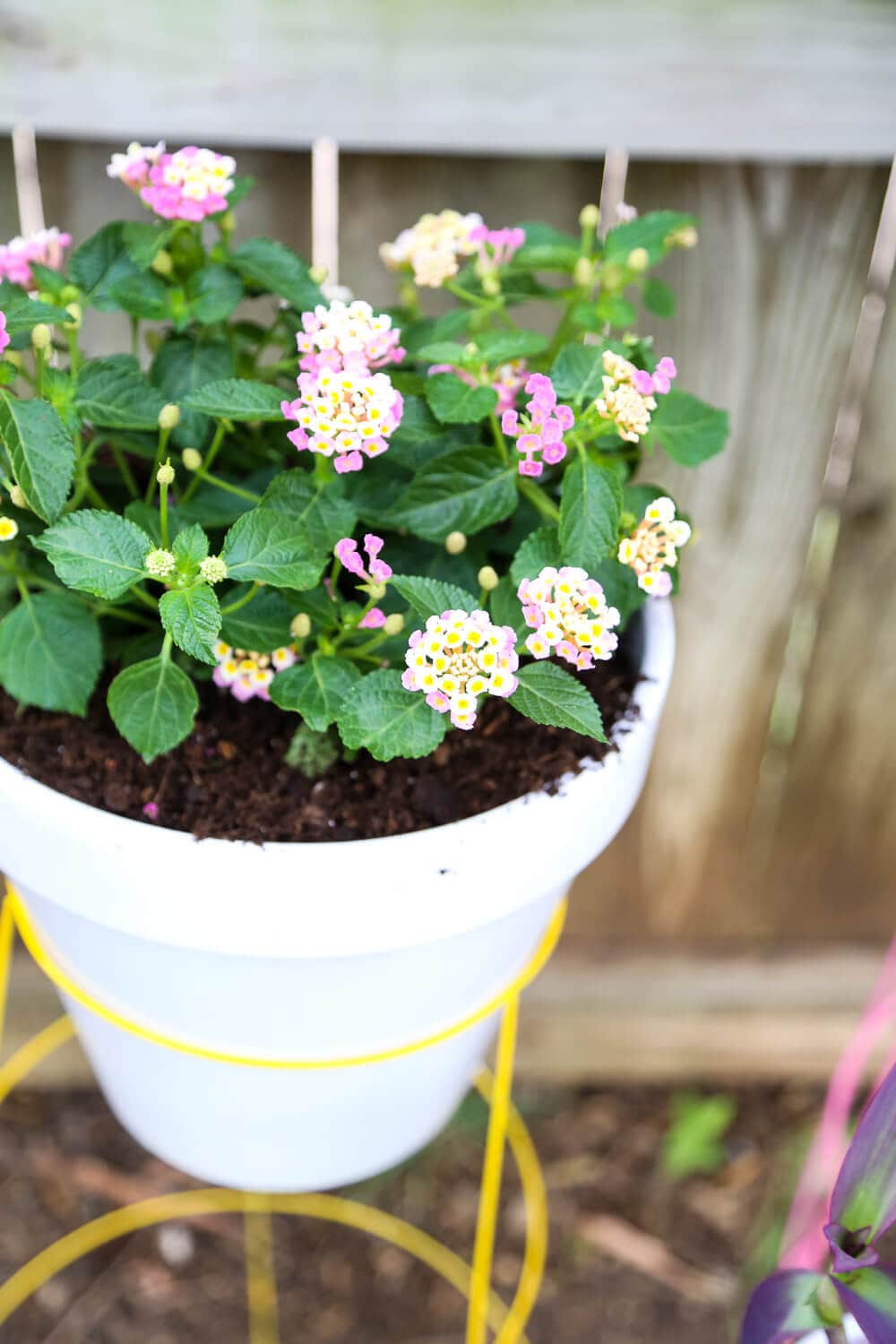 Easy DIY wire plant stand