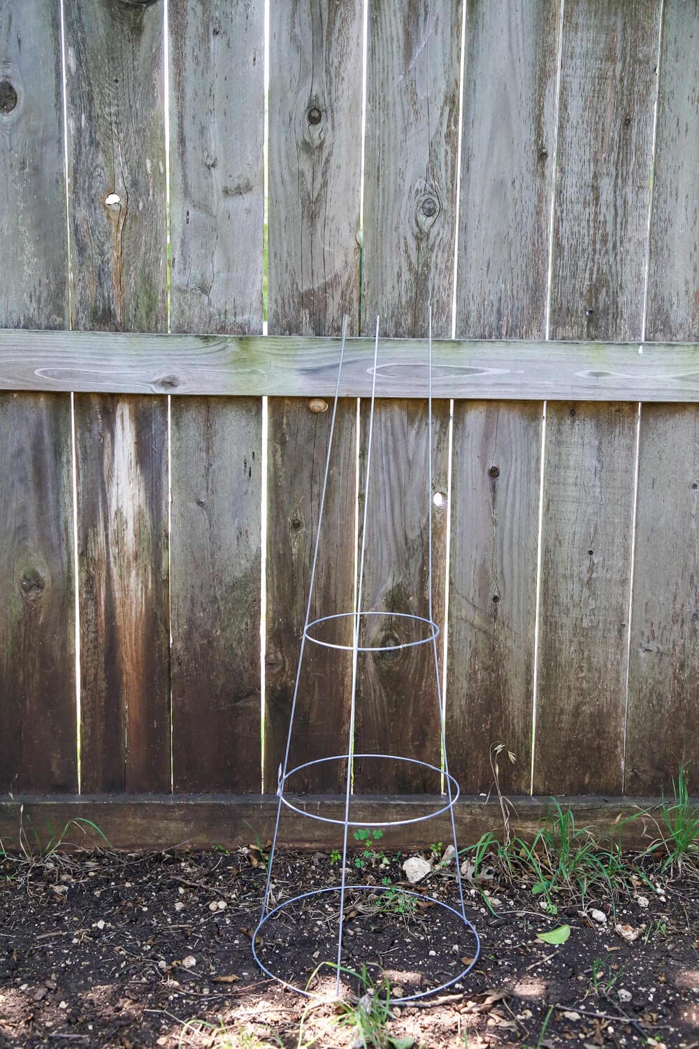 Tomato cage to use for DIY plant stand