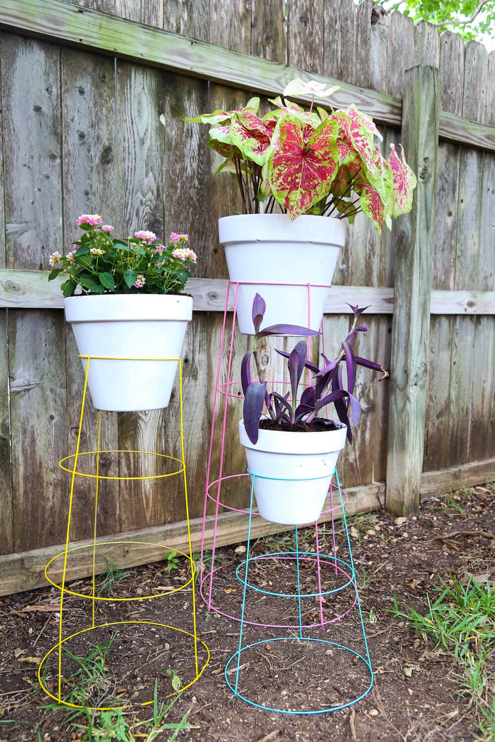 How to make tomato cage plant stands