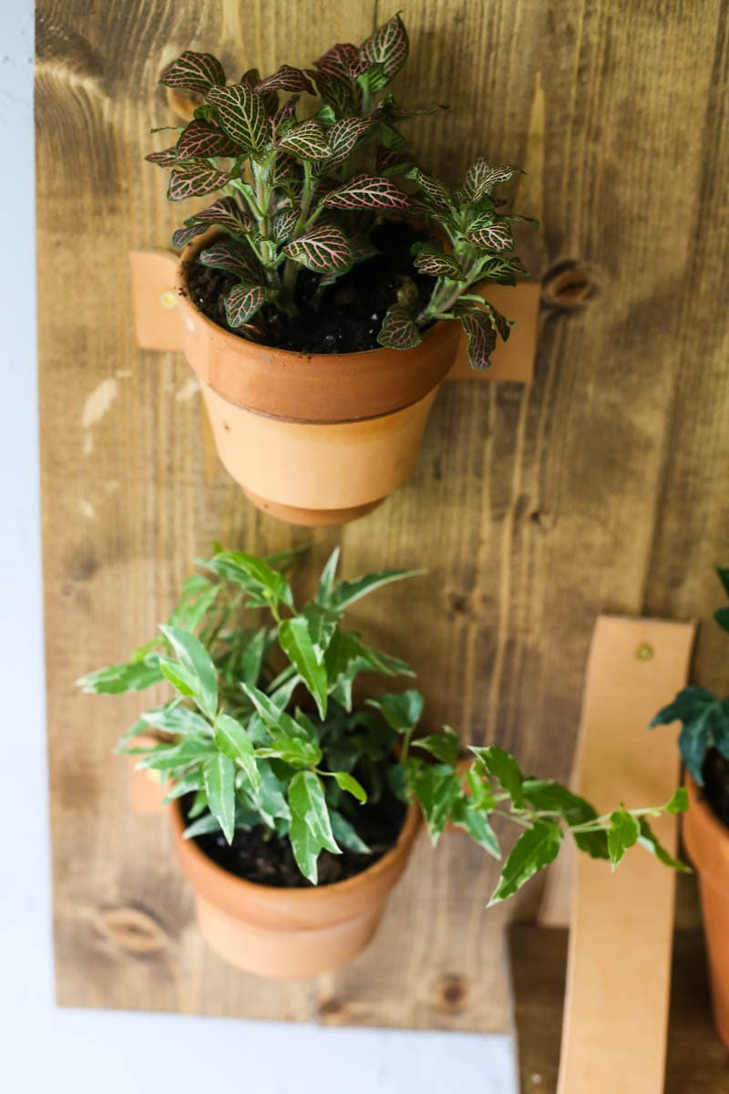 DIY wall plant shelf