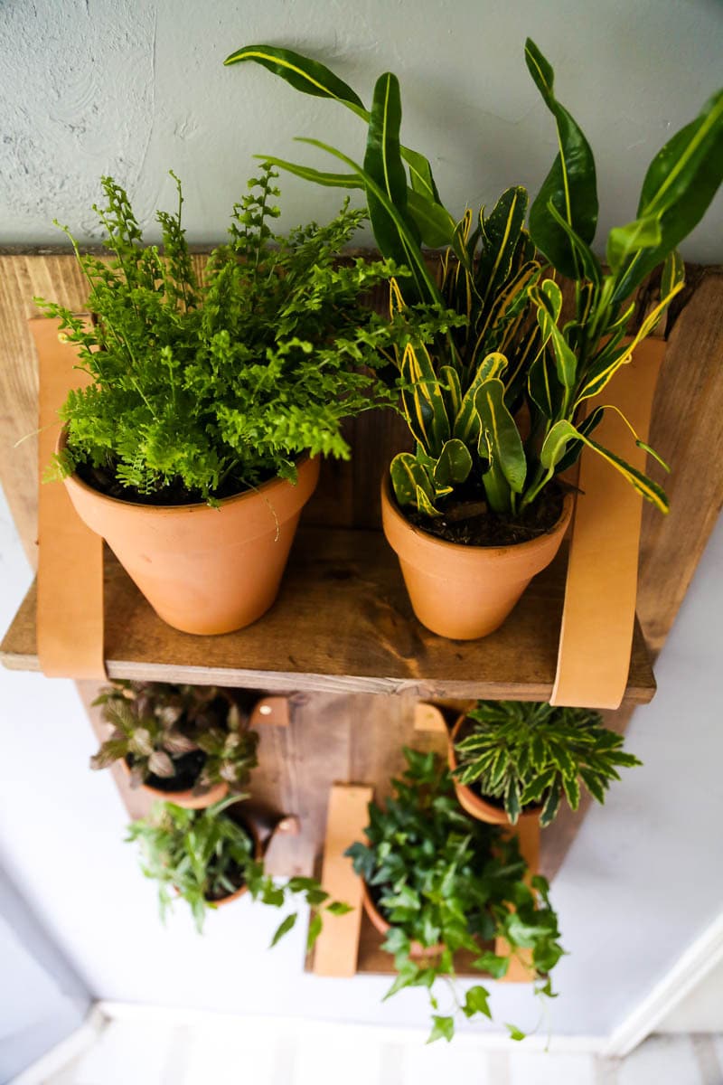 DIY vertical wall planter