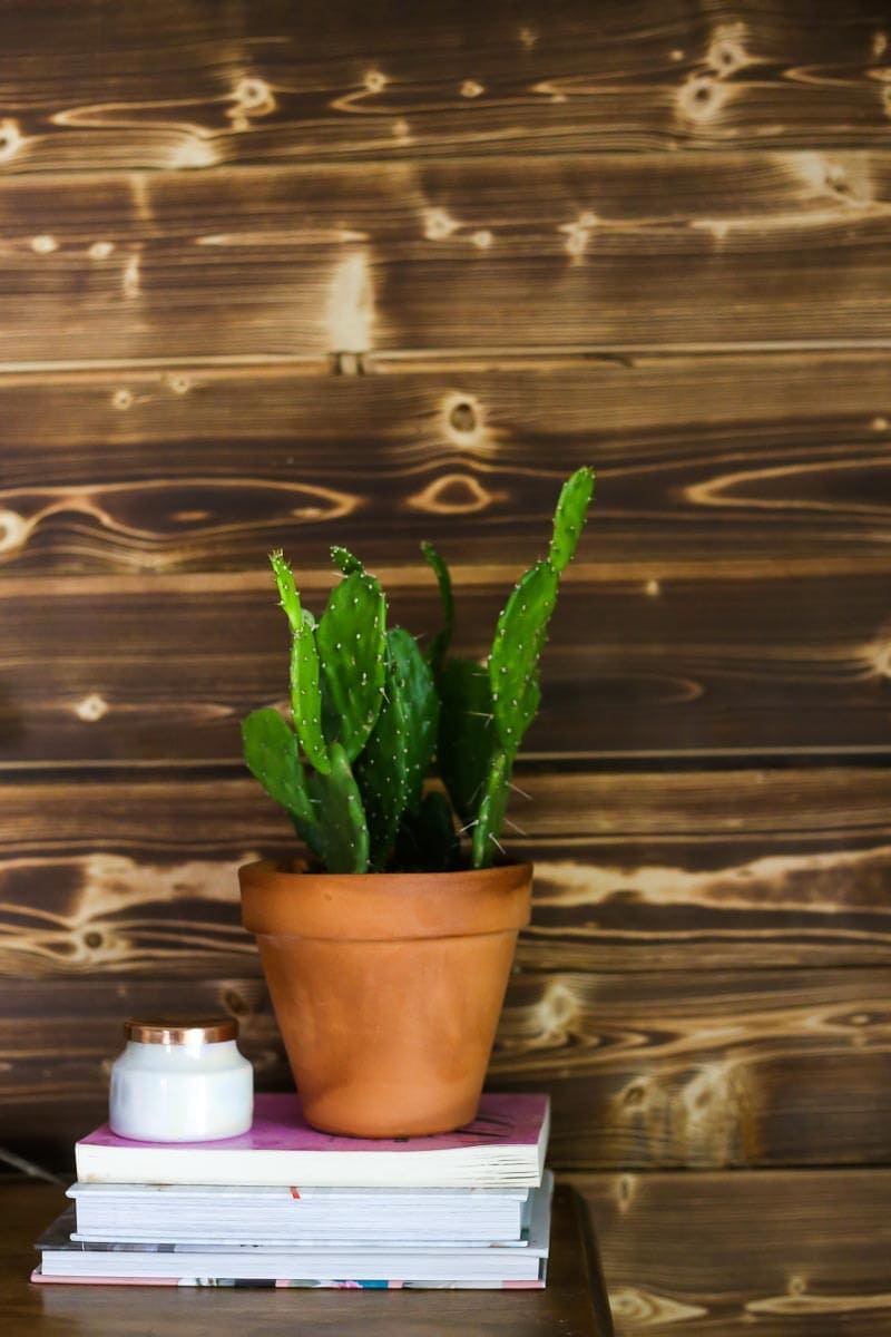 A gorgeous DIY wood accent wall