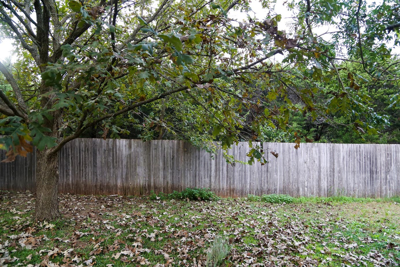 The new house tour - the backyard