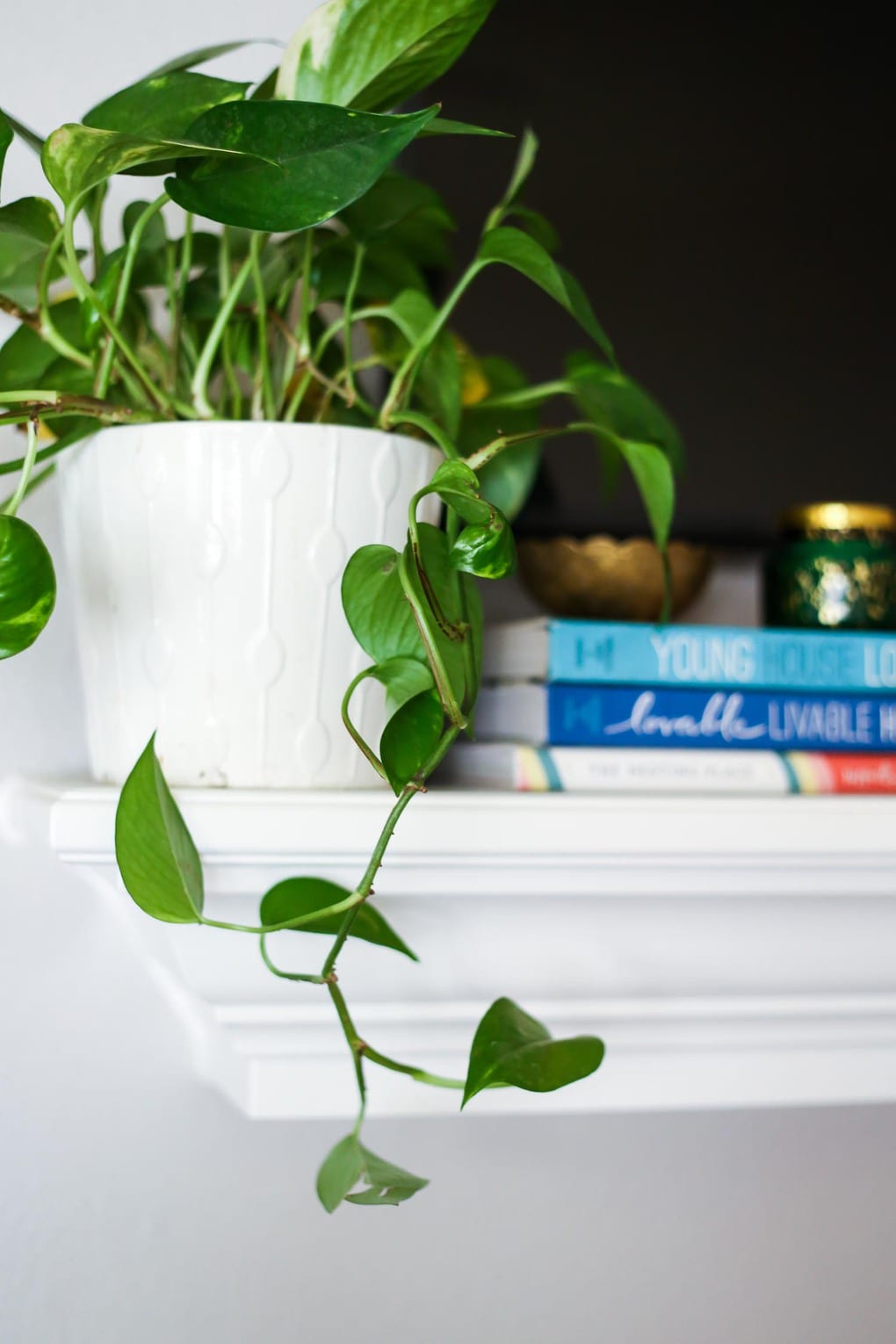 Adding a plant to the mantel