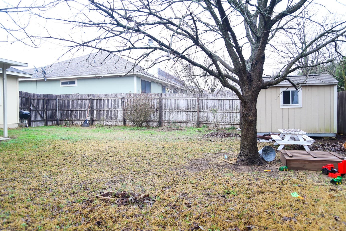 Backyard with storage shed and tree