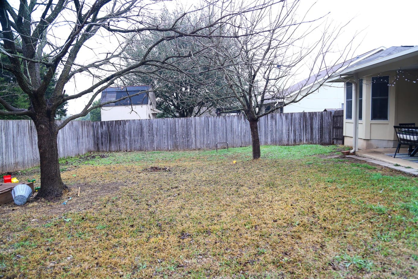 backyard view of tree in winter