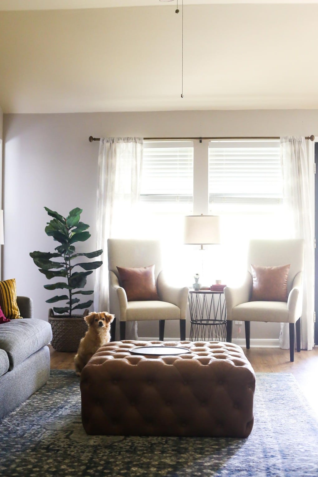 A living room with two side chairs and a gray couch