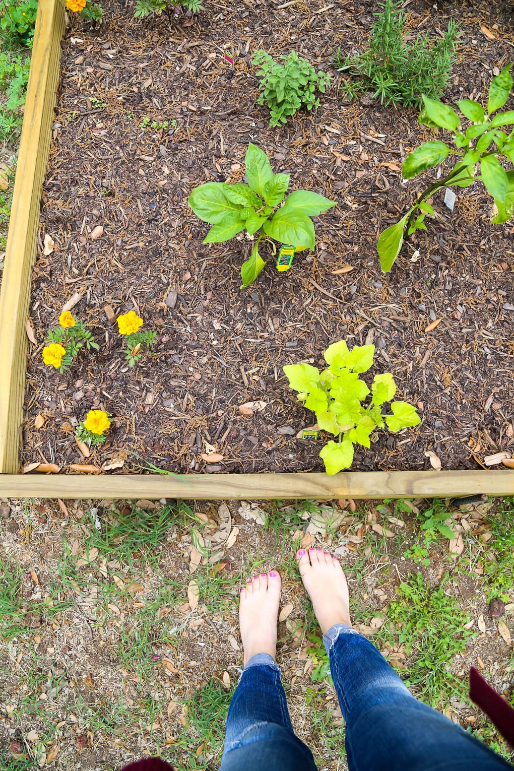 DIY raised garden bed