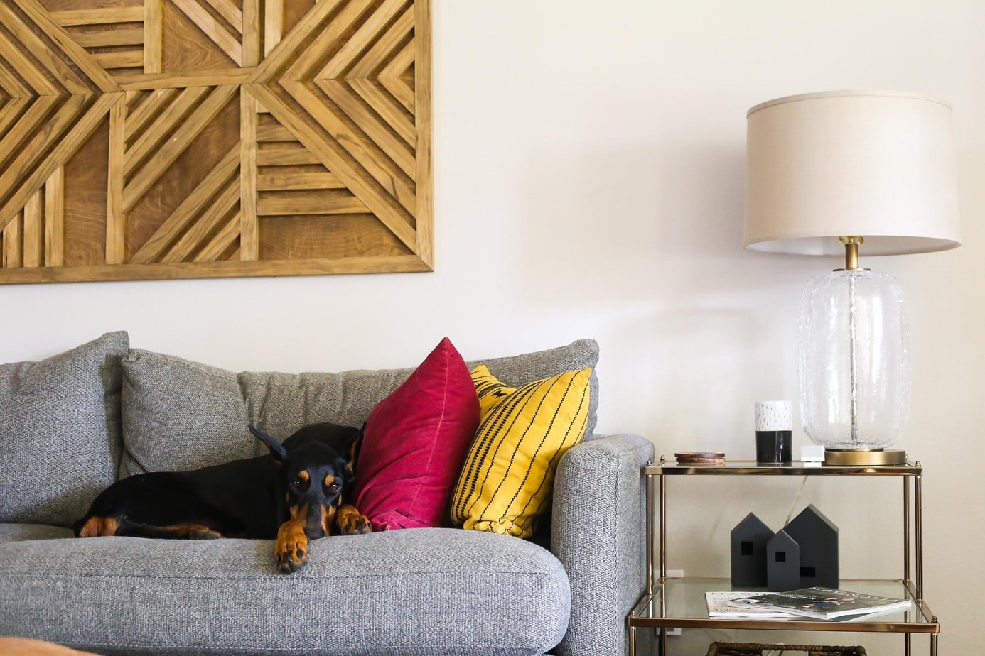 Gray sofa with a large dog sleeping on it