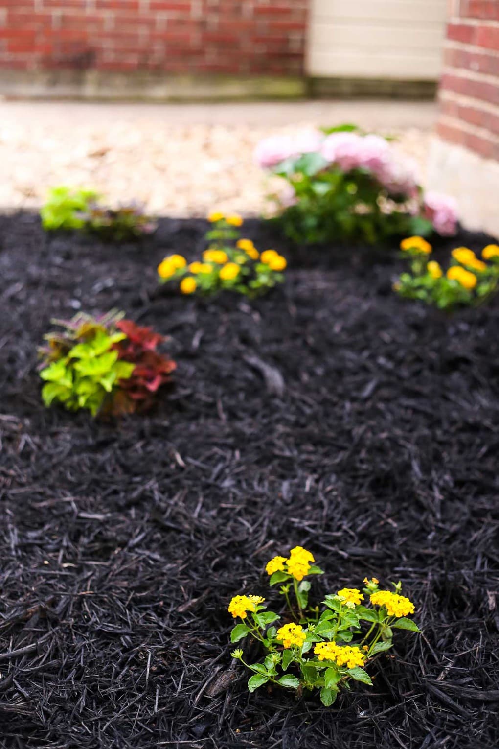 Tips for front yard landscaping - front flower bed ideas