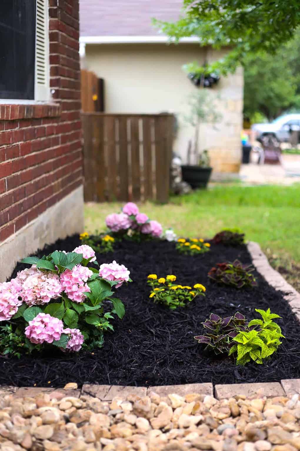 Front yard landscaping