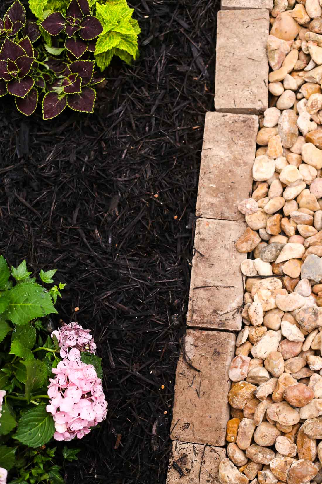 Ideas for landscaping in front yard