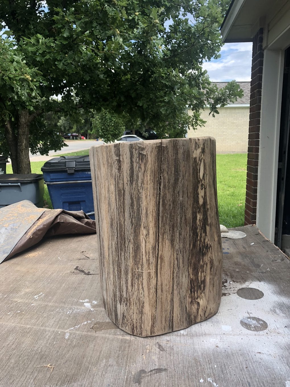 tree stump for table