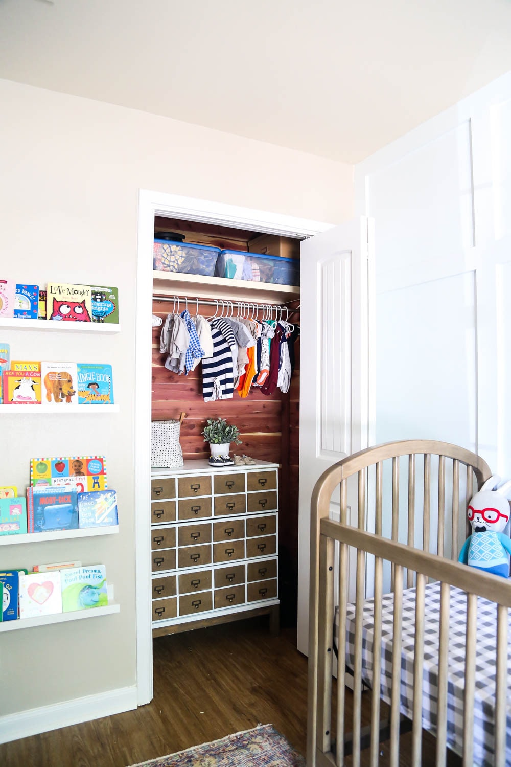 closet makeover with Cedar Safe