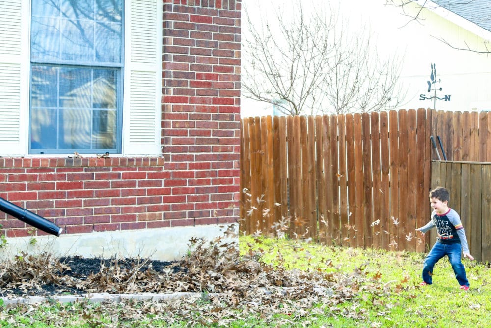 leaf blowing with Greenworks leaf blower