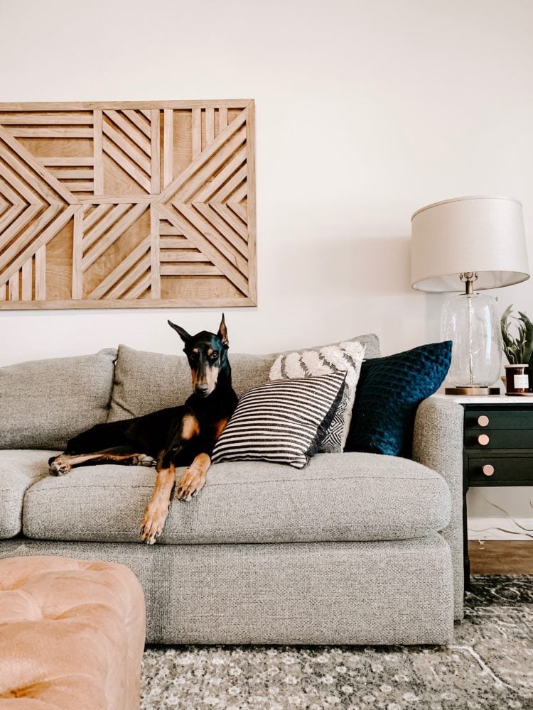 living room before - gray Crate & Barrel sofa with a doberman laying on it 